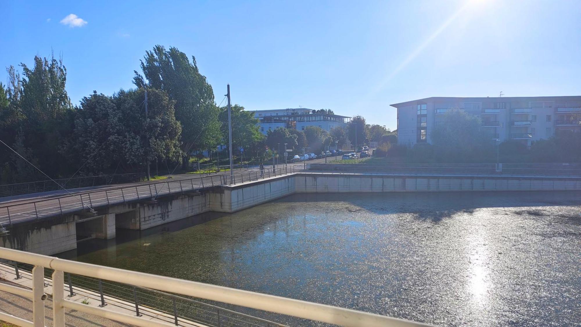 Charmant T2 Avec Piscine Vue Lac Aux Minimes La Rochelle La Rochelle (Charente-Maritime) Exterior foto